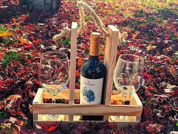 wine valet with bottle and glasses in autumn leaves