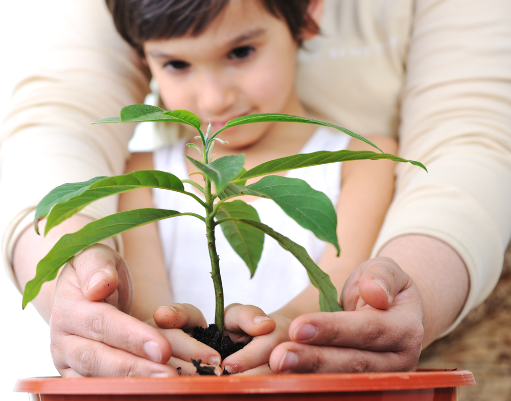 Planting a plant